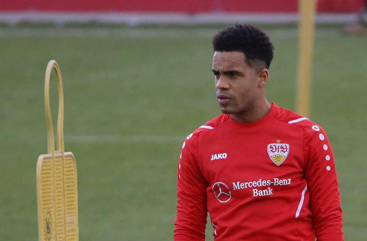Daniel Didavi fehlte dem VfB in Fürth. Foto: Baumann/Hansjürgen Britsch