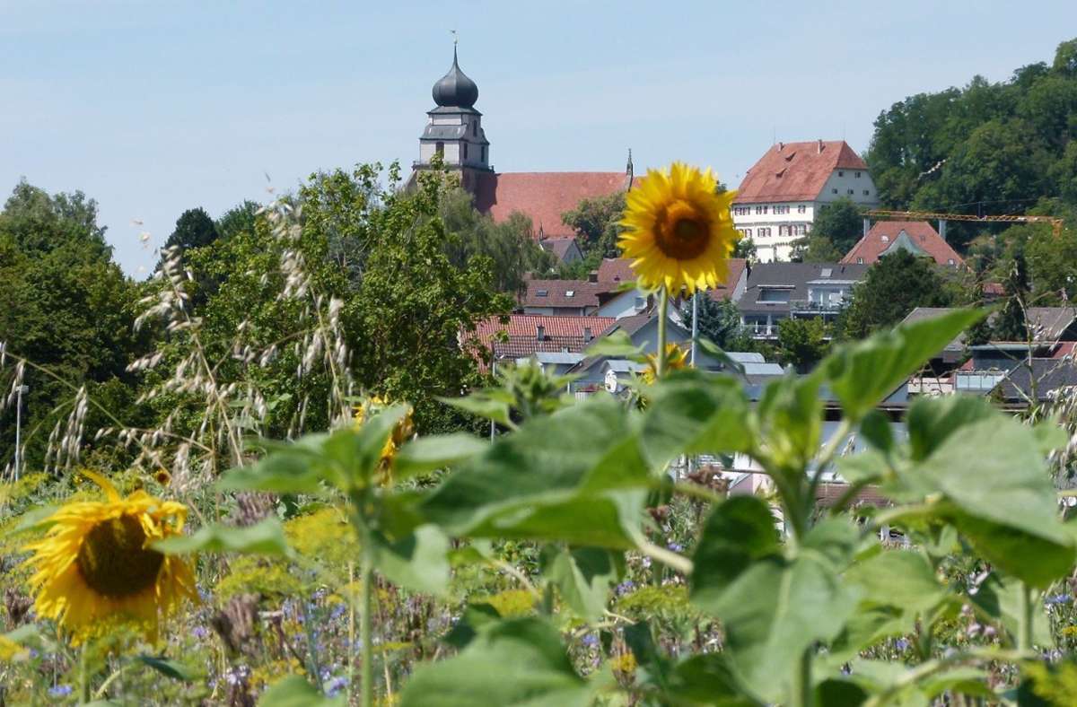 Biotopverbund in Herrenberg: Begehungen sind geplant