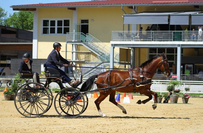 Pferdesport Hohe Eiche Gärtringen: Jens Motteler belegt bei Fahrturnier in Österreich den zehnten Platz