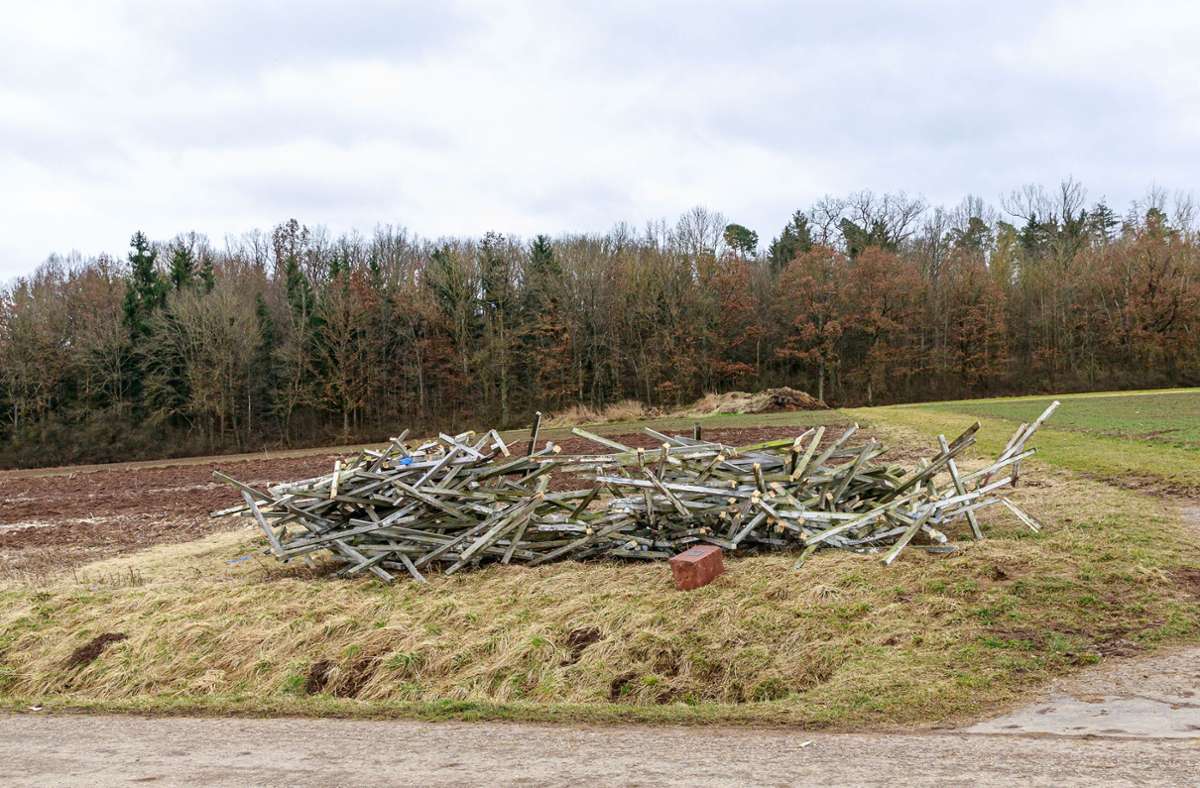 Sturm im Landkreis: Die Vogelnest-Skulptur wird bald wieder aufgebaut