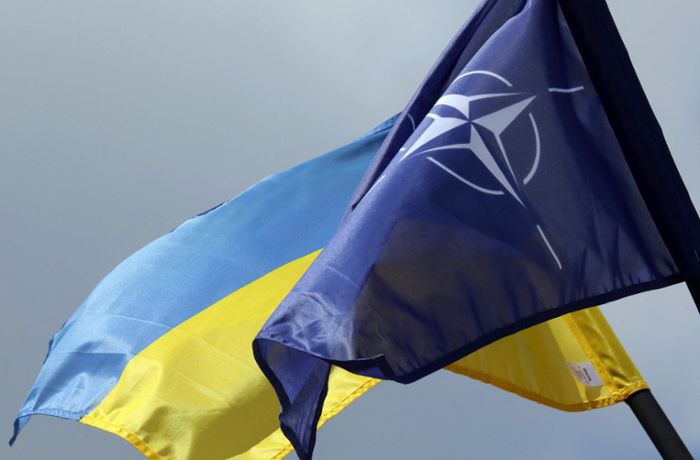 Nato-Beitritt Ukraine: Europa hat keine Wahl