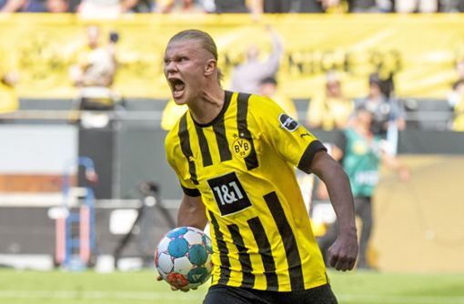 Erling Haaland verlässt Borussia Dortmund. Foto: dpa/David Inderlied