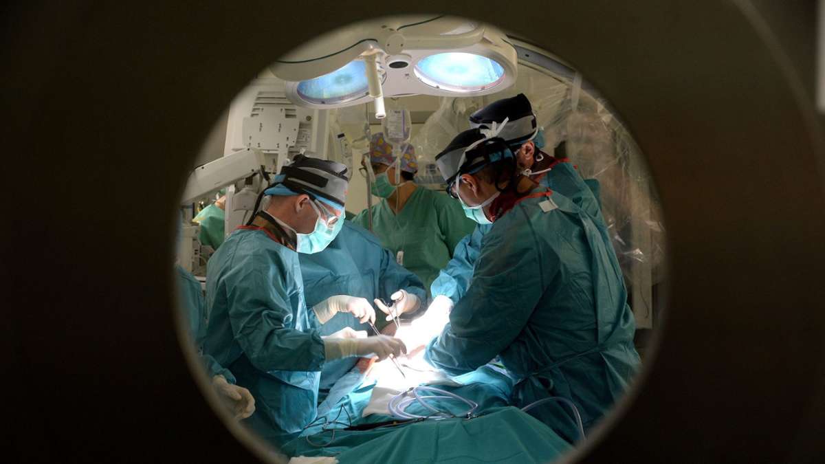 Medizin: Ehre für die Hauptschlagader: Aorta als Organ eingestuft