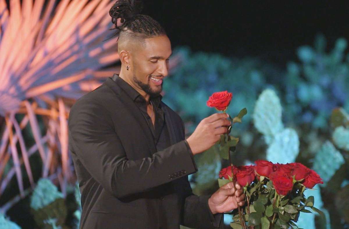 Doch am Ende muss sich David entscheiden, welchen Damen er eine Rose überreicht.