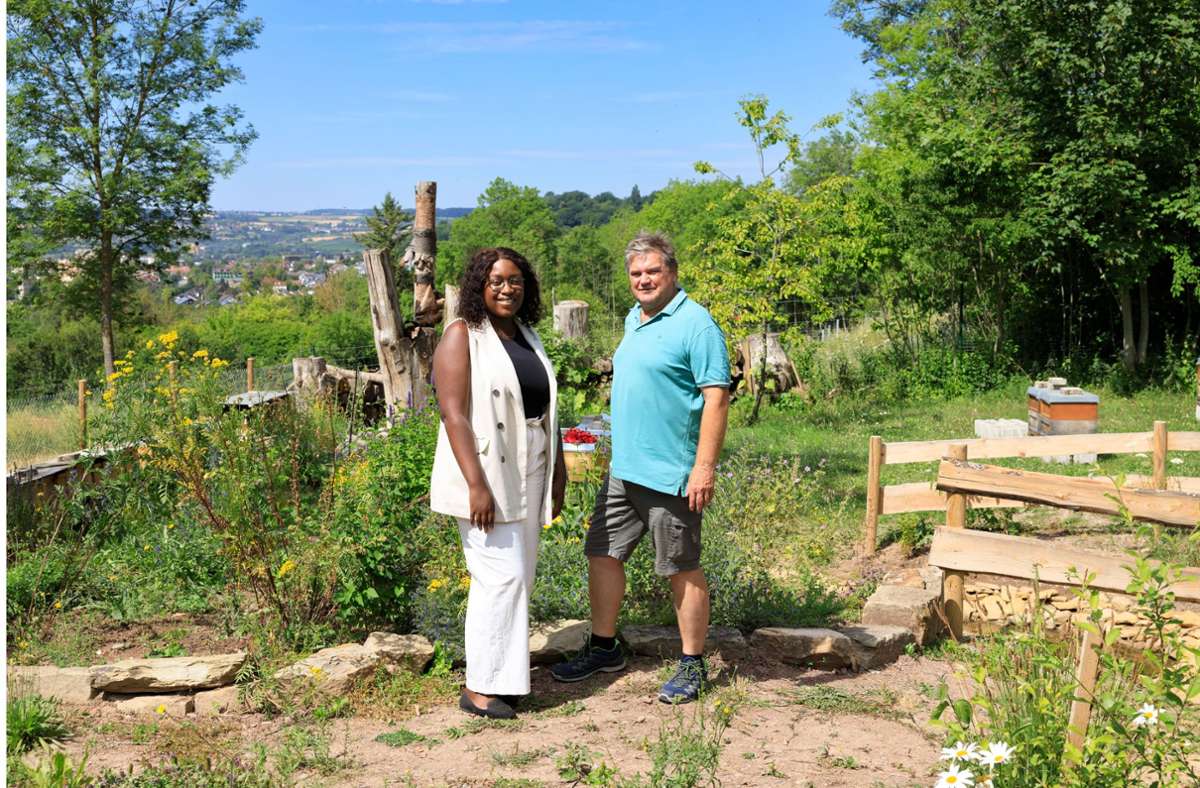 Garten  in Herrenberg: Ein Paradies für Wildbienen