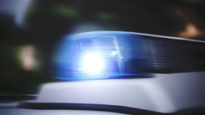 Weißer Renault in Mötzingen gestohlen