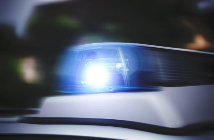Auto war nicht abgeschlossen: Weißer Renault in Mötzingen gestohlen