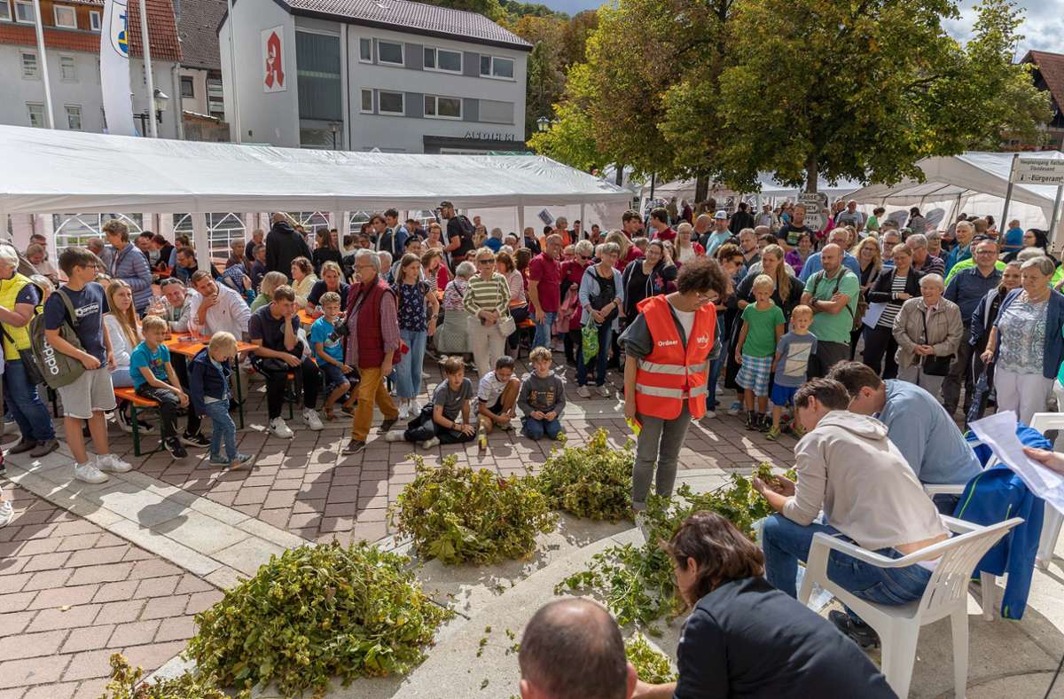 Aidlinger Heckengäutag: Tausende Besucher bei Hopfenzopfen und Hammellauf