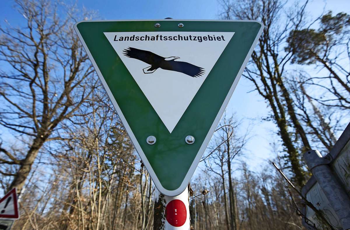 Glemswald Steinenbronn: Wie Straßenbau und Naturschutz zusammengehen