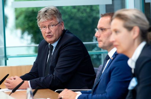 Als dritter Vorsitzender verlässt Jörg Meuthen seine Partei. Foto: dpa/Bernd von Jutrczenka