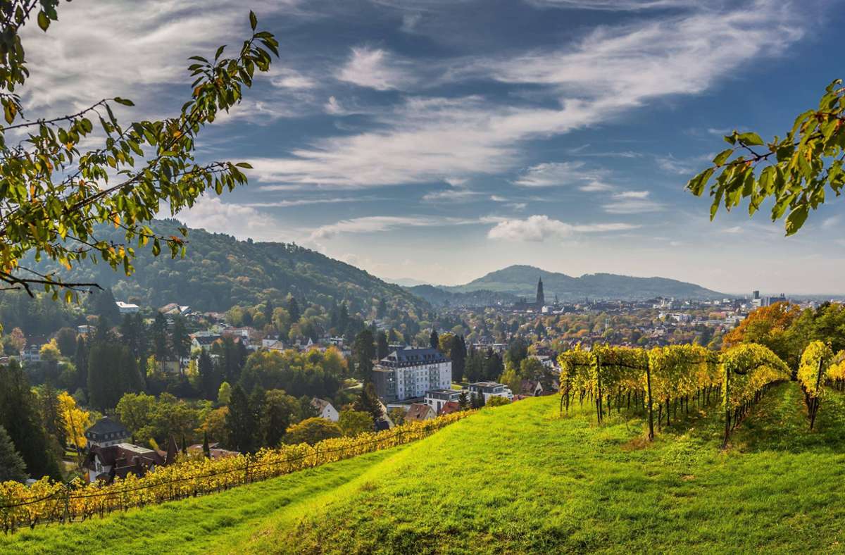 Stadttipps Baden-Württemberg: So entdecken Sie die schönsten Seiten Freiburgs