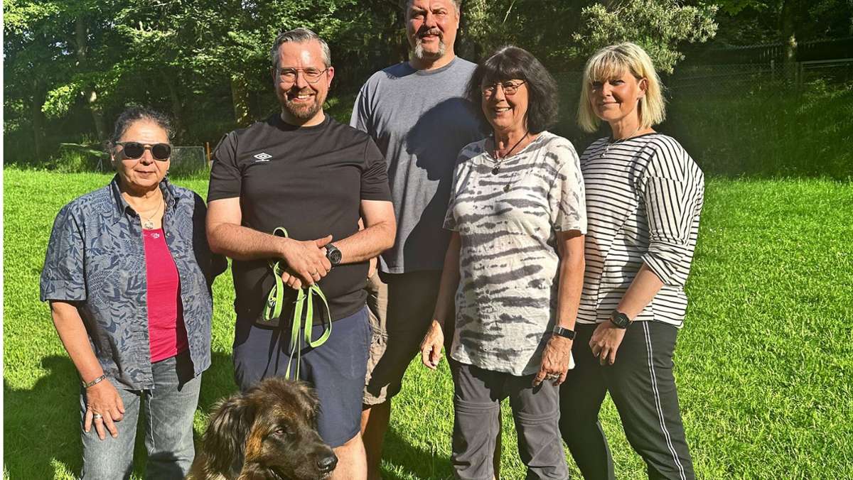 Deutscher Club für Leonberger Hunde: Clubschau soll wieder internationale Züchter nach Leonberg ziehen