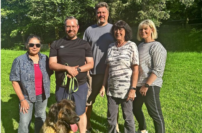 Deutscher Club für Leonberger Hunde: Clubschau soll wieder internationale Züchter nach Leonberg ziehen