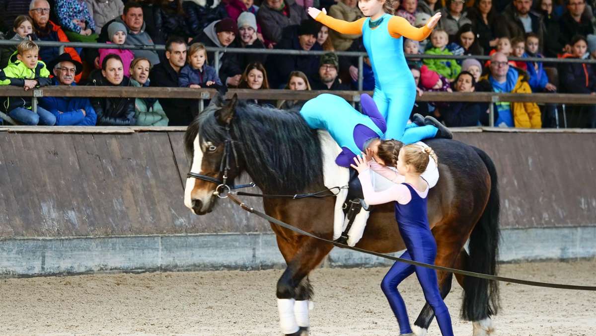 Leonberger Pferdemarkt: „Hulapalu“ – weshalb Pferde nicht immer Schlager mögen