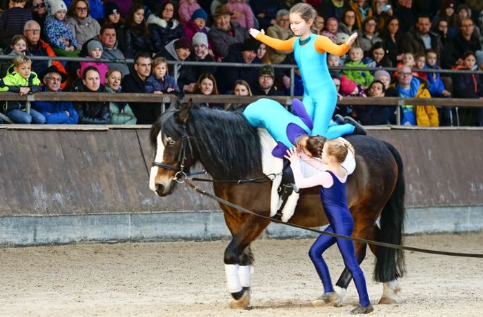 Leonberger Pferdemarkt: „Hulapalu“ – weshalb Pferde nicht immer Schlager mögen