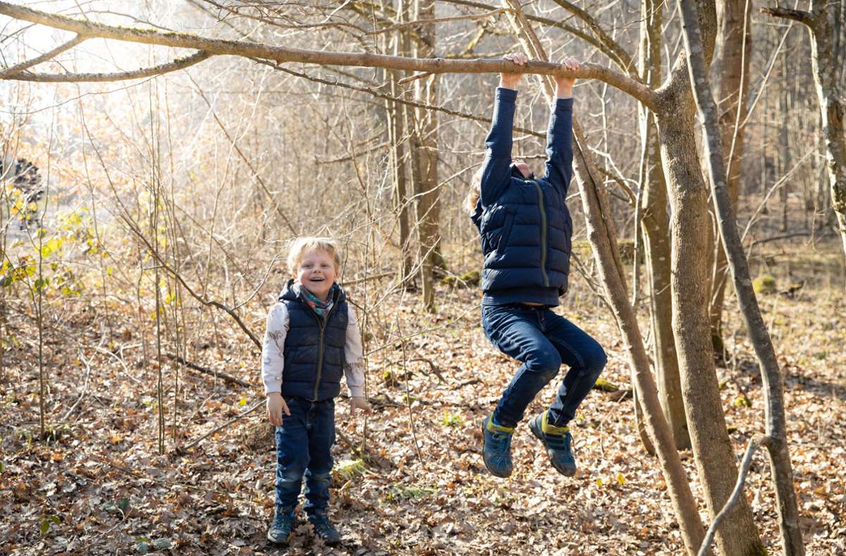 Klimmzüge am stabilen Ast: An 16 Stationen im Ehninger Wald können sich die Kids ordentlich austoben