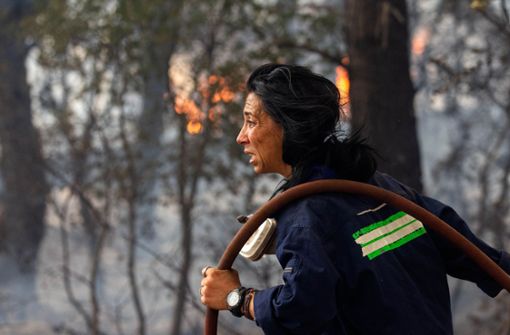 Eine Feuerwehrfrau bekämpft einen Waldbrand in Griechenland. Foto: dpa/Marios Lolos