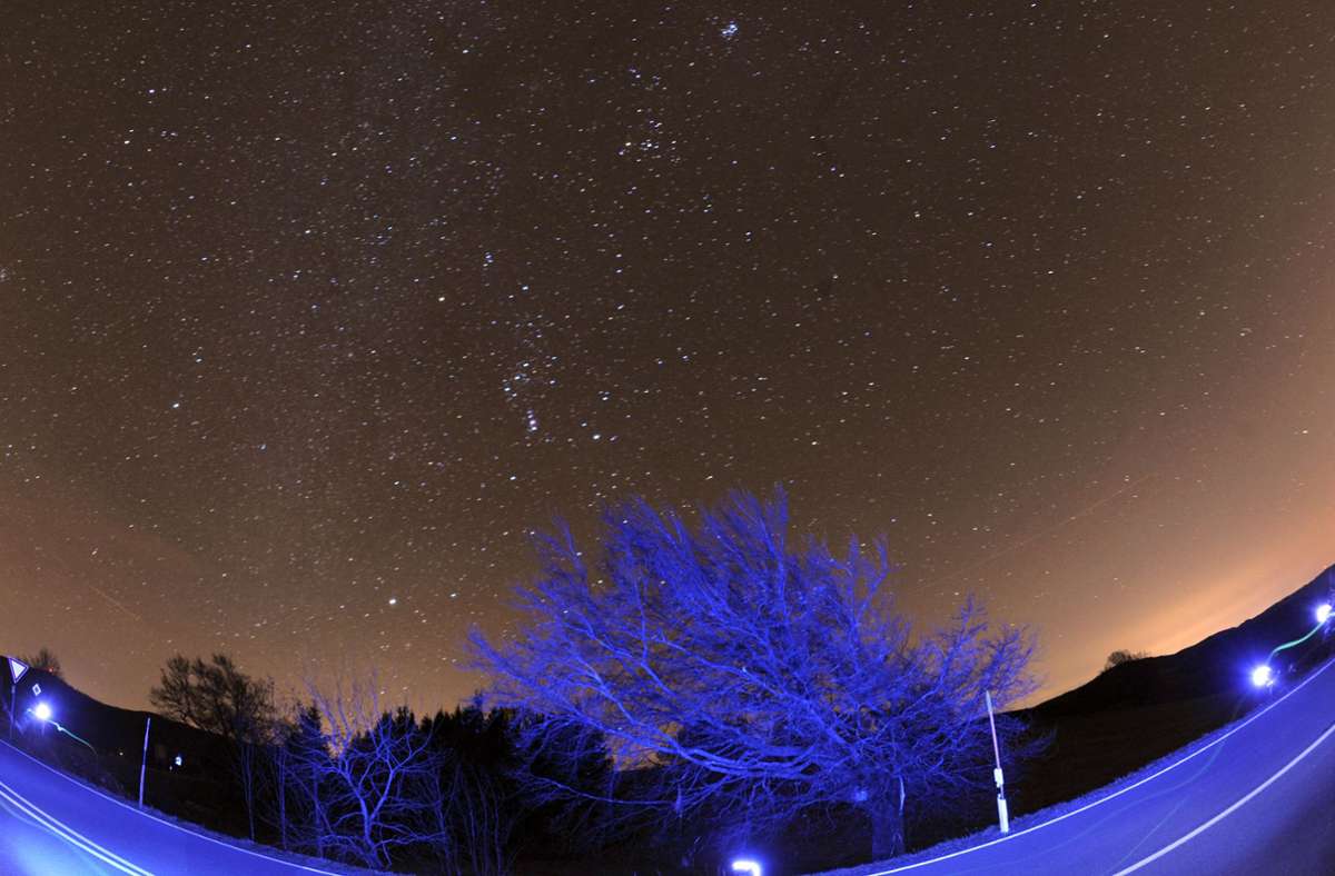 Der Sternenhimmel im November: Die Leoniden purzeln aus ihrem Sternbild
