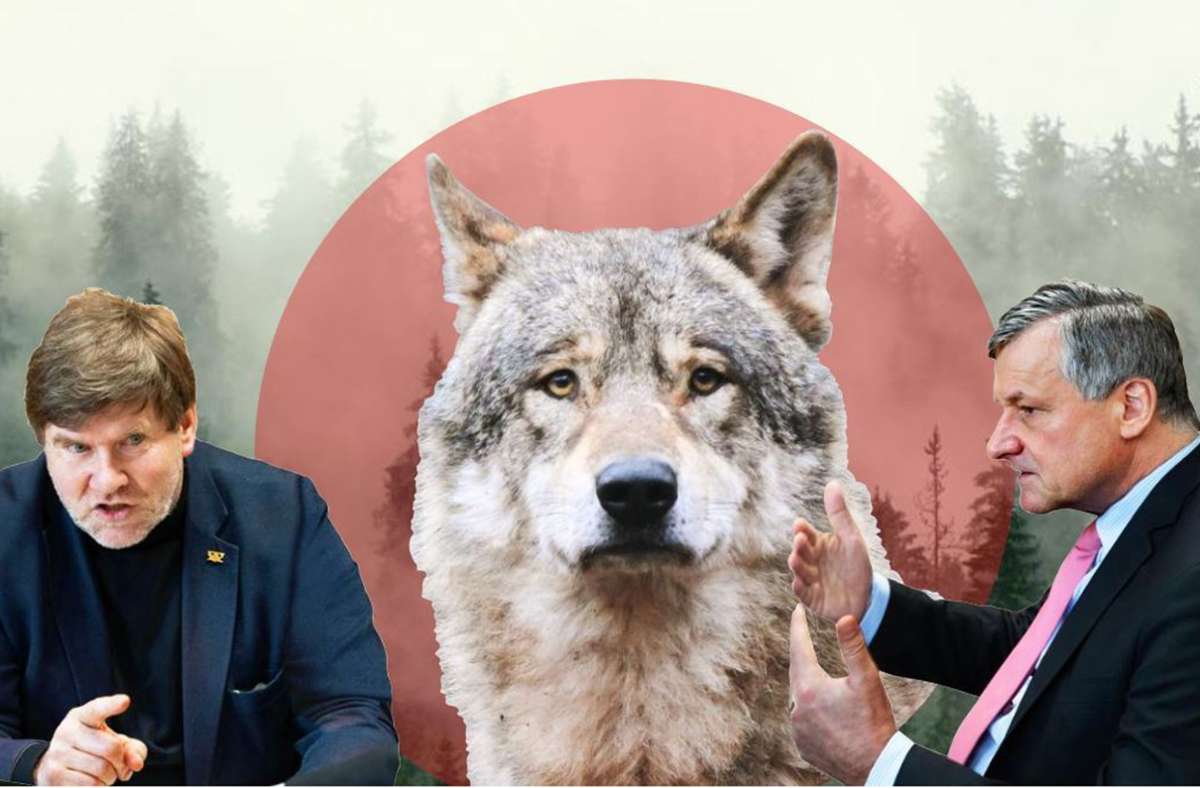 Sind beim Wolf nicht immer einer Meinung: Markus Rösler (li.) von den Grünen und Hans-Ulrich Rülke (r.) von der FDP