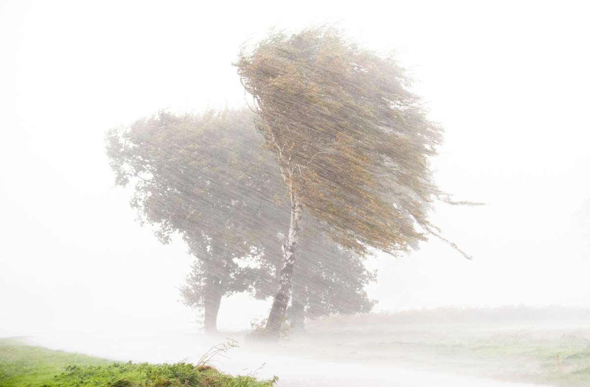 In der Region Hannover rüttelt Sturmtief „Ignatz“ kräftig an den Bäumen. Foto: dpa/Julian Stratenschulte