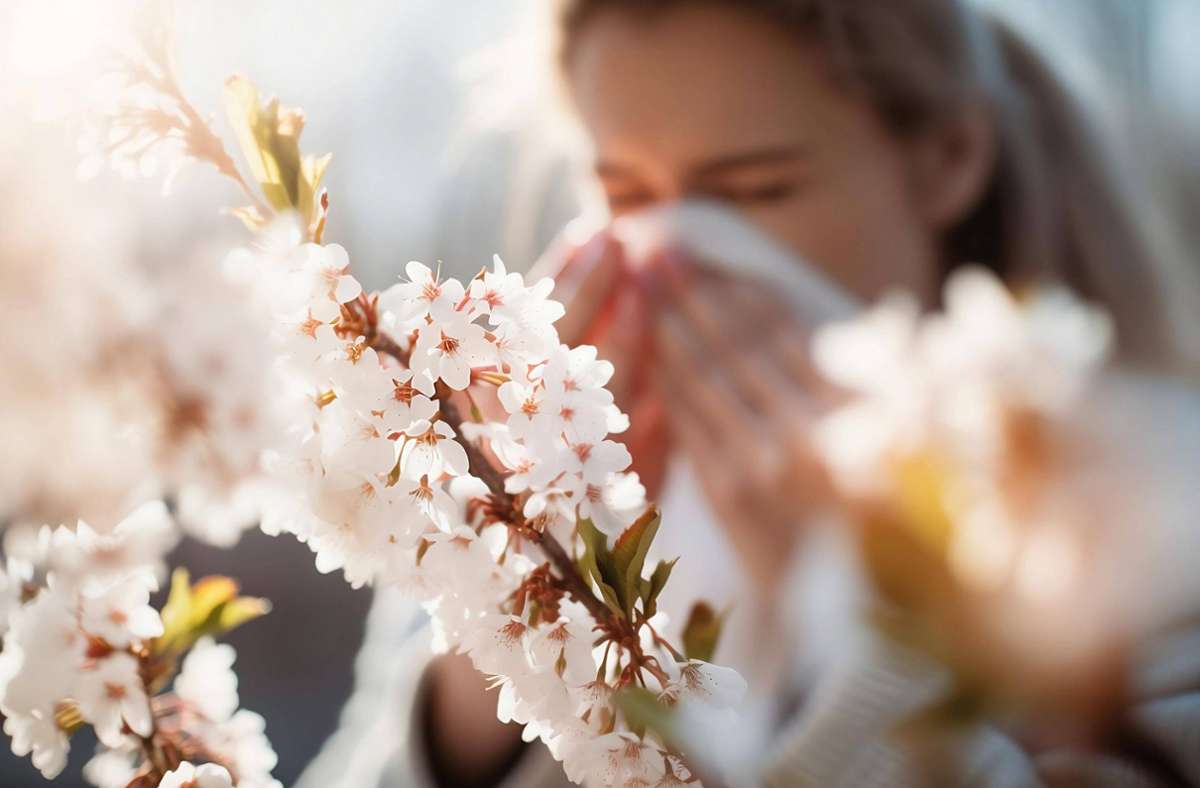 Ist die Pollensaison 2023 besonders schlimm?