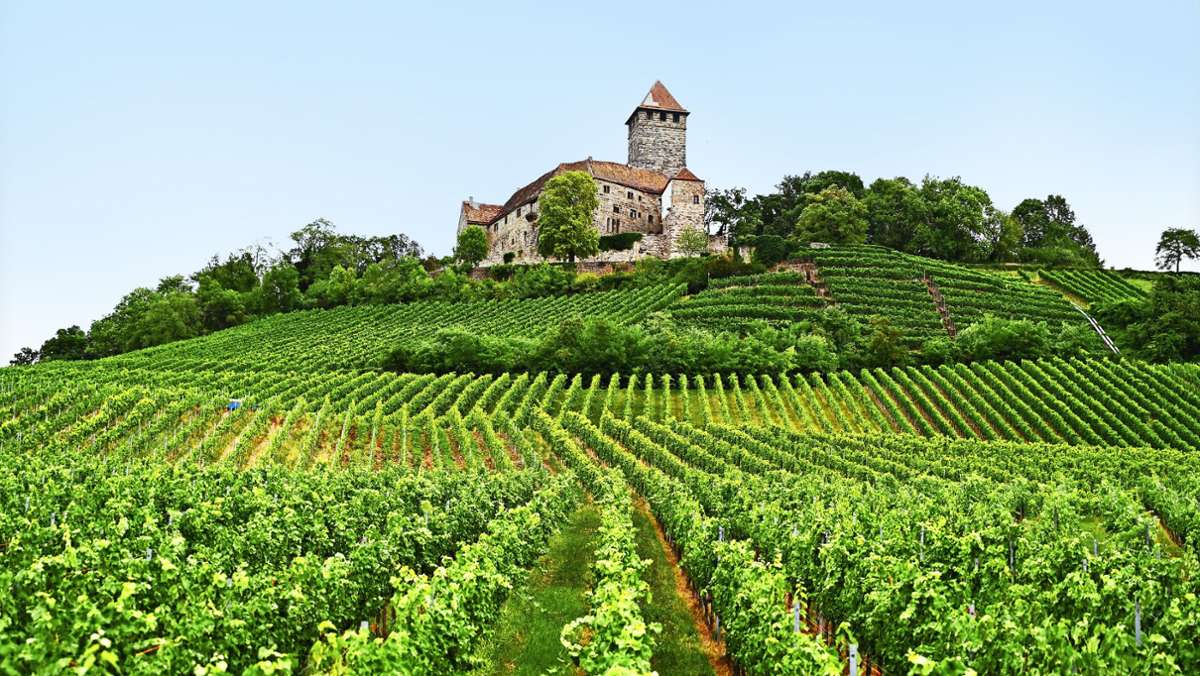 Weinregion Marbach-Bottwartal: Ein Tal  will Niemandsland-Image loswerden
