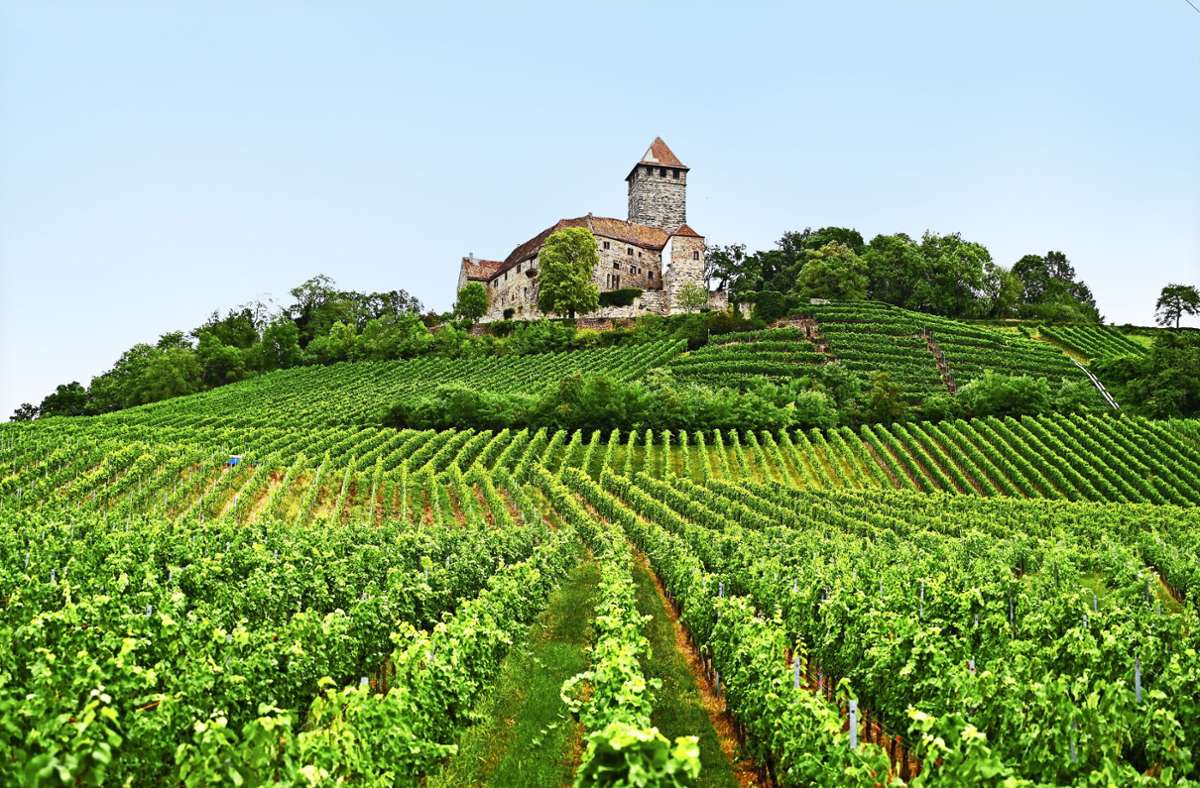 Weinregion Marbach-Bottwartal: Ein Tal  will Niemandsland-Image loswerden