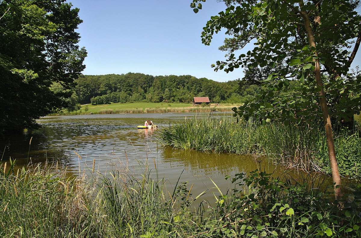 Wandertipps für Baden-Württemberg: Drei Seen und ein uriger Wald