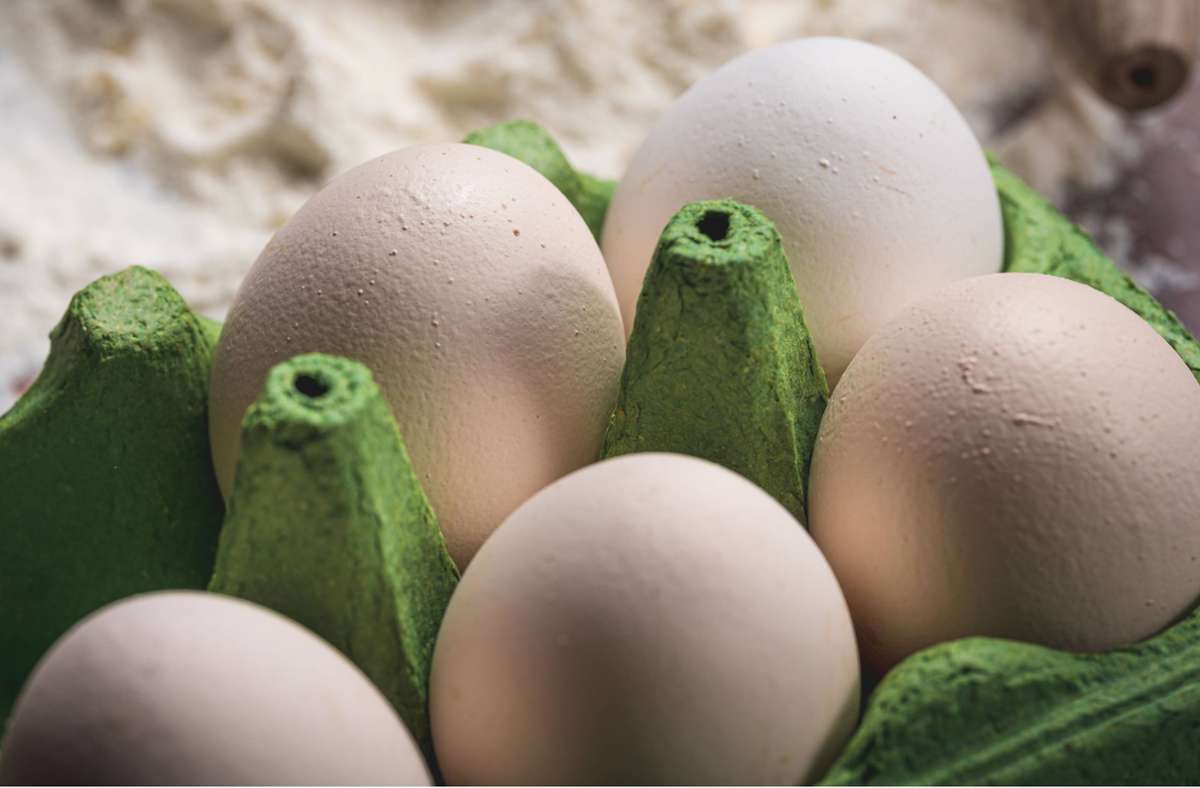 In den Eiern wurden Salmonellen festgestellt (Symbolbild). Foto: IMAGO/Bihlmayerfotografie/IMAGO/Michael Bihlmayer