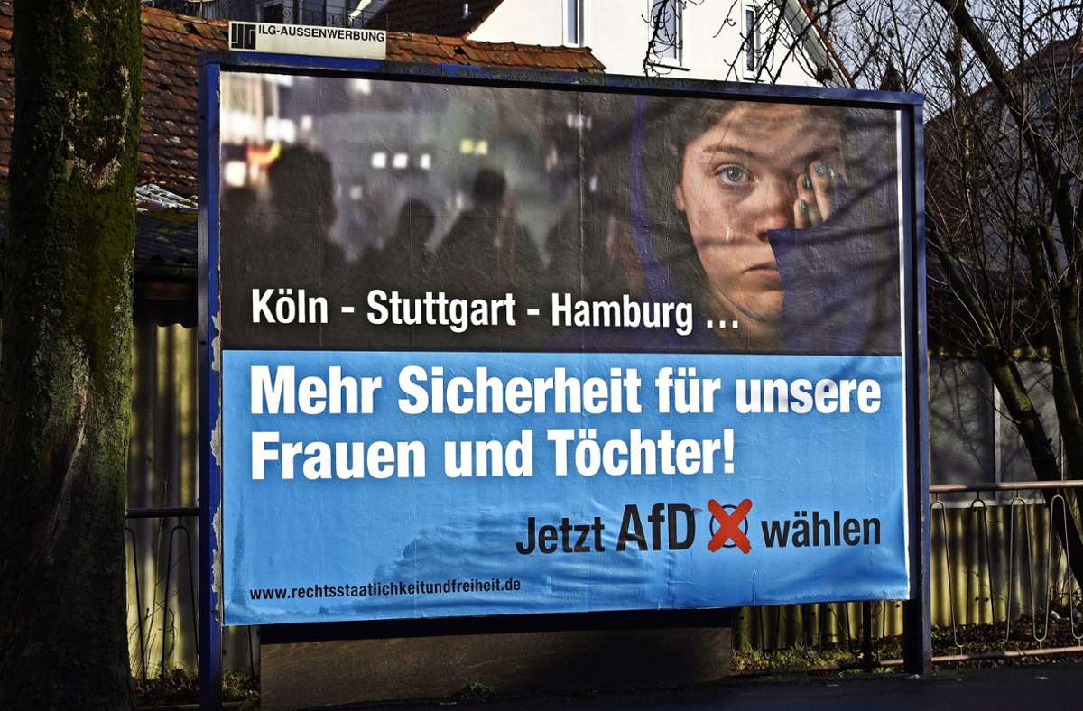 Neue AfD-Spendenaffäre: Stuttgarter Verein finanzierte mutmaßlich illegal Wahlplakate