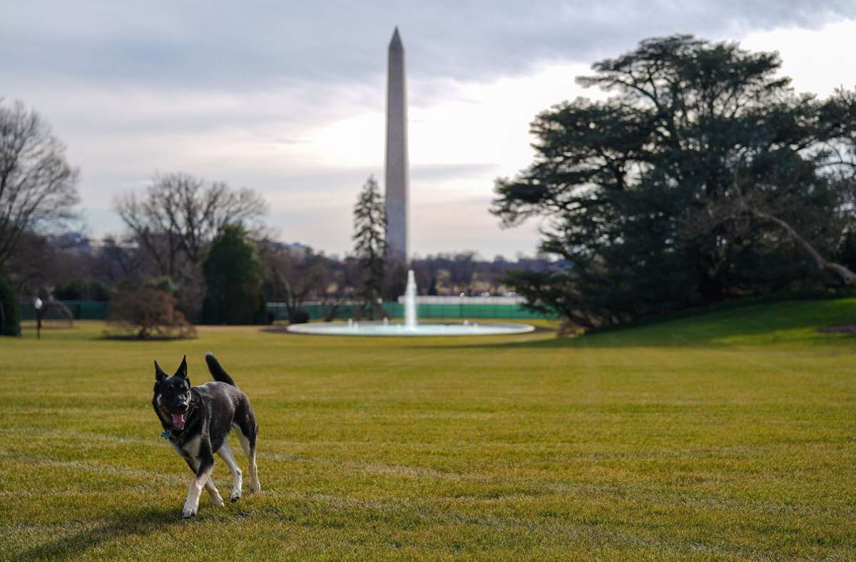 Major erkundet den „South Lawn“, den Garten des Weißen Hauses. Foto: dpa/Adam Schultz