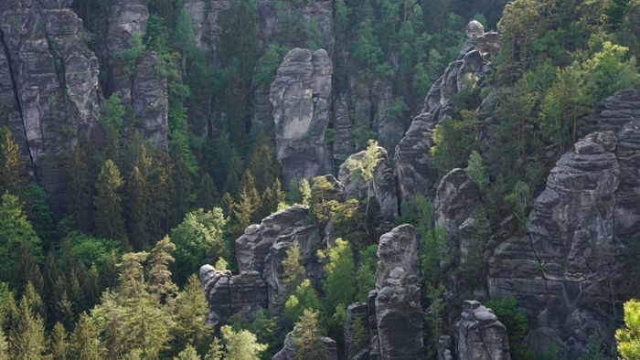 Anklage gegen vier junge Männer nach Waldbrand in der Sächsischen Schweiz