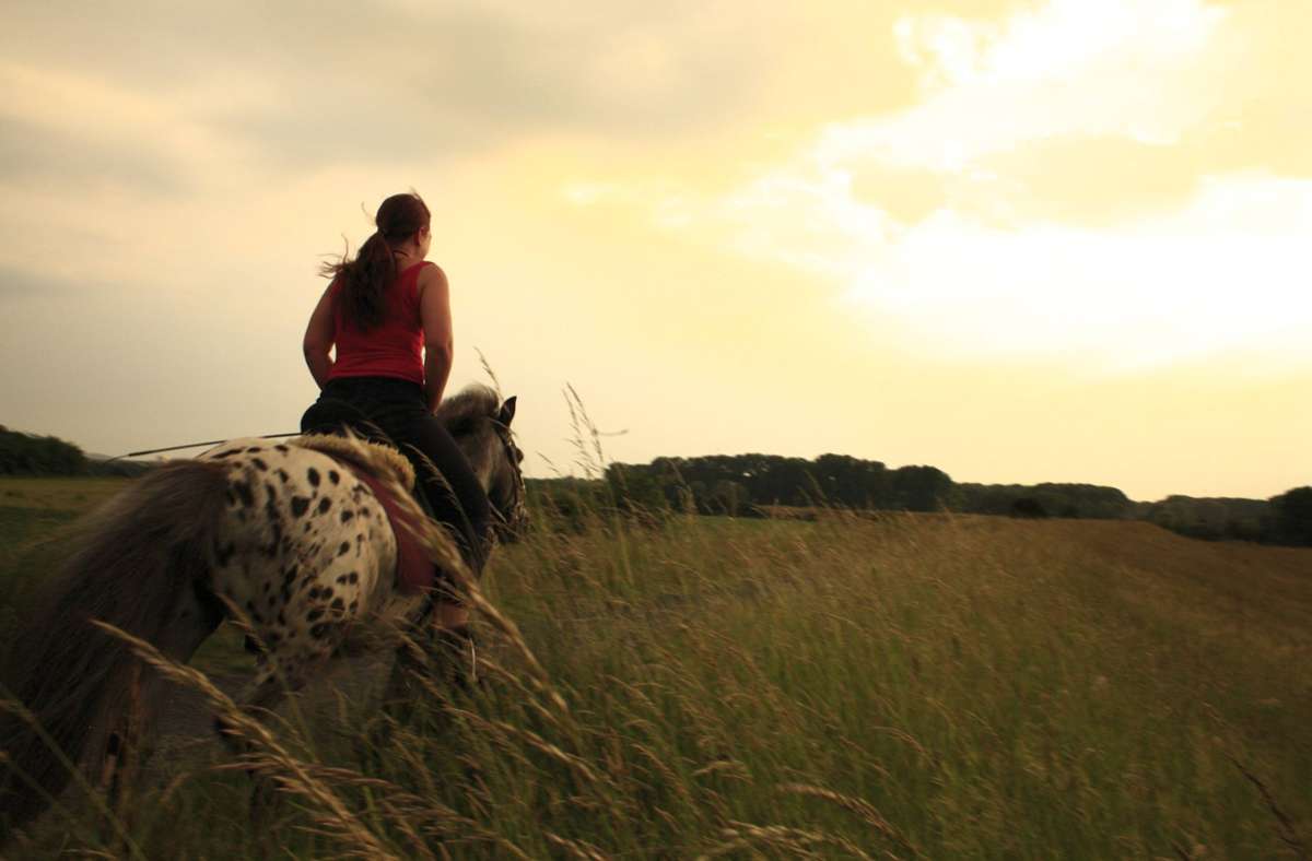 Wegen Stoß durch Tier: Pferdehalterin muss Radfahrerin Schmerzensgeld zahlen