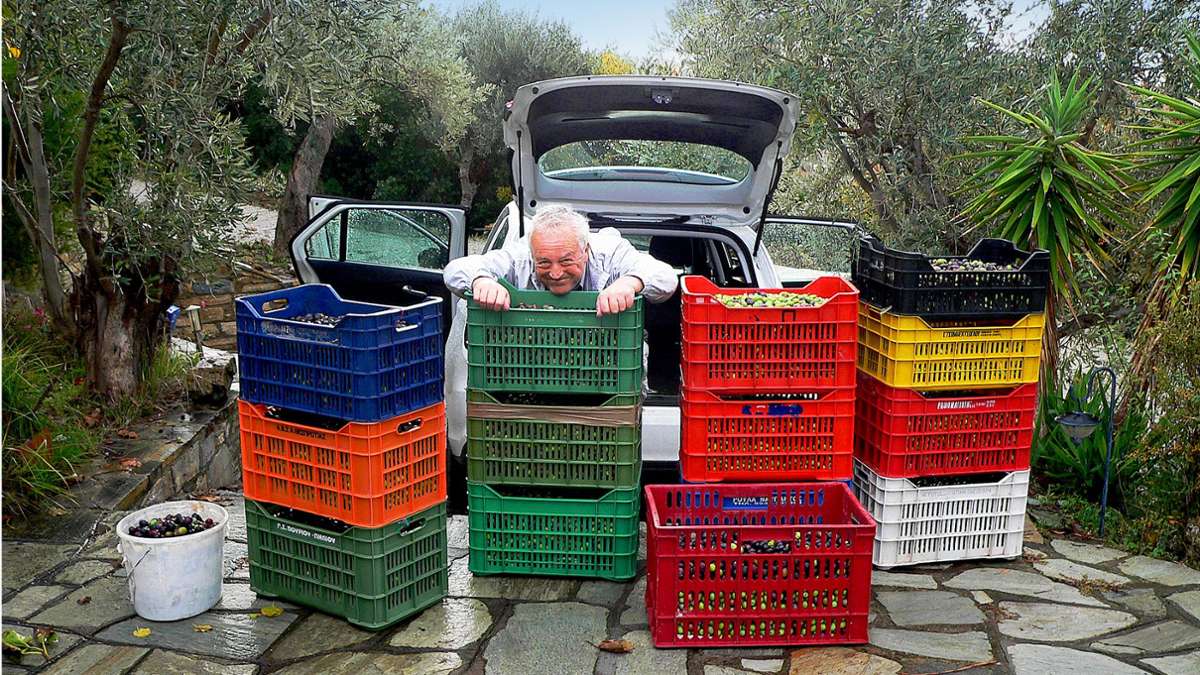 Erich Scheer fährt die frisch geernteten Oliven mit einem Leihwagen zur Presse.