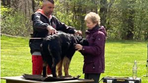 Hundesport-Papst besucht  Schäferhund-Verein