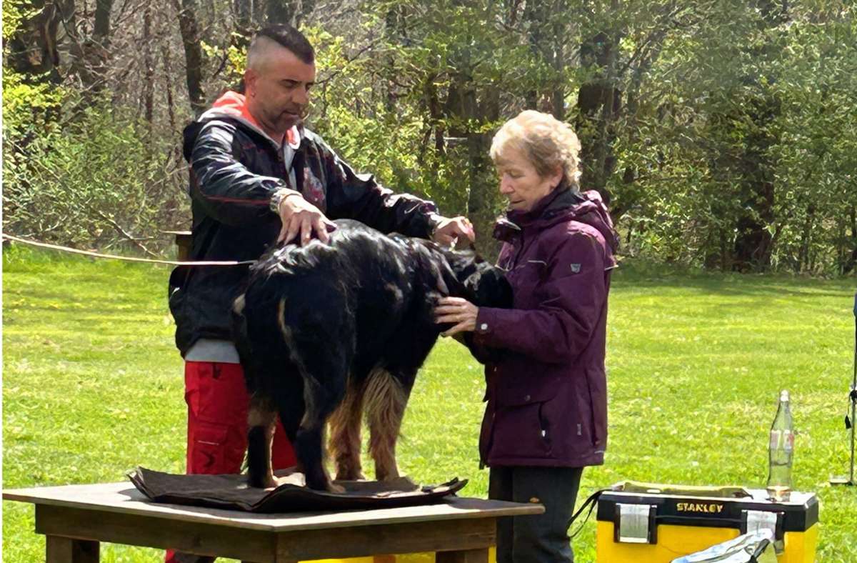 Knut Fuchs in Schönaich: Hundesport-Papst besucht  Schäferhund-Verein