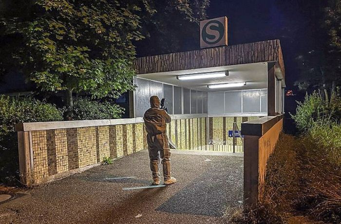 Weil der Stadt: S-Bahn-Mord: 76-jähriger Dozent angeklagt