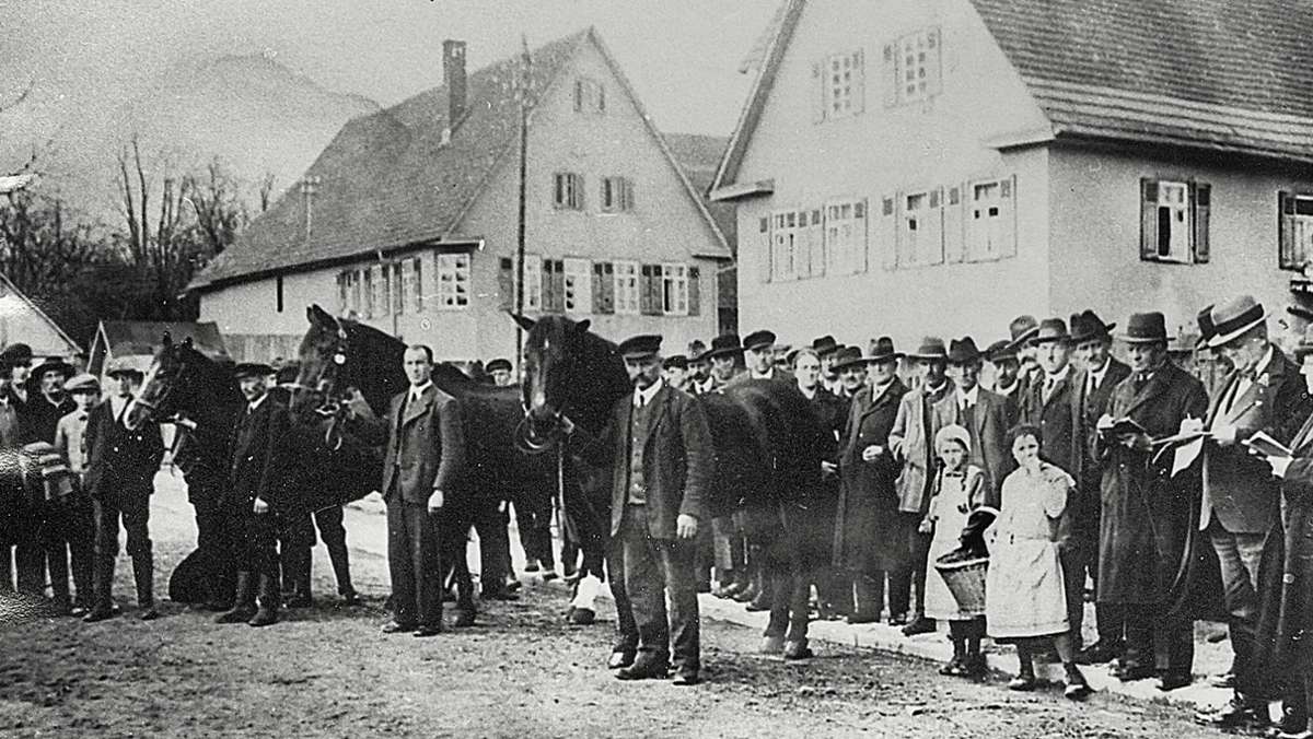 Pferdemarkt in Bernhausen: Das sind die Highlights in der 100-jährigen Geschichte