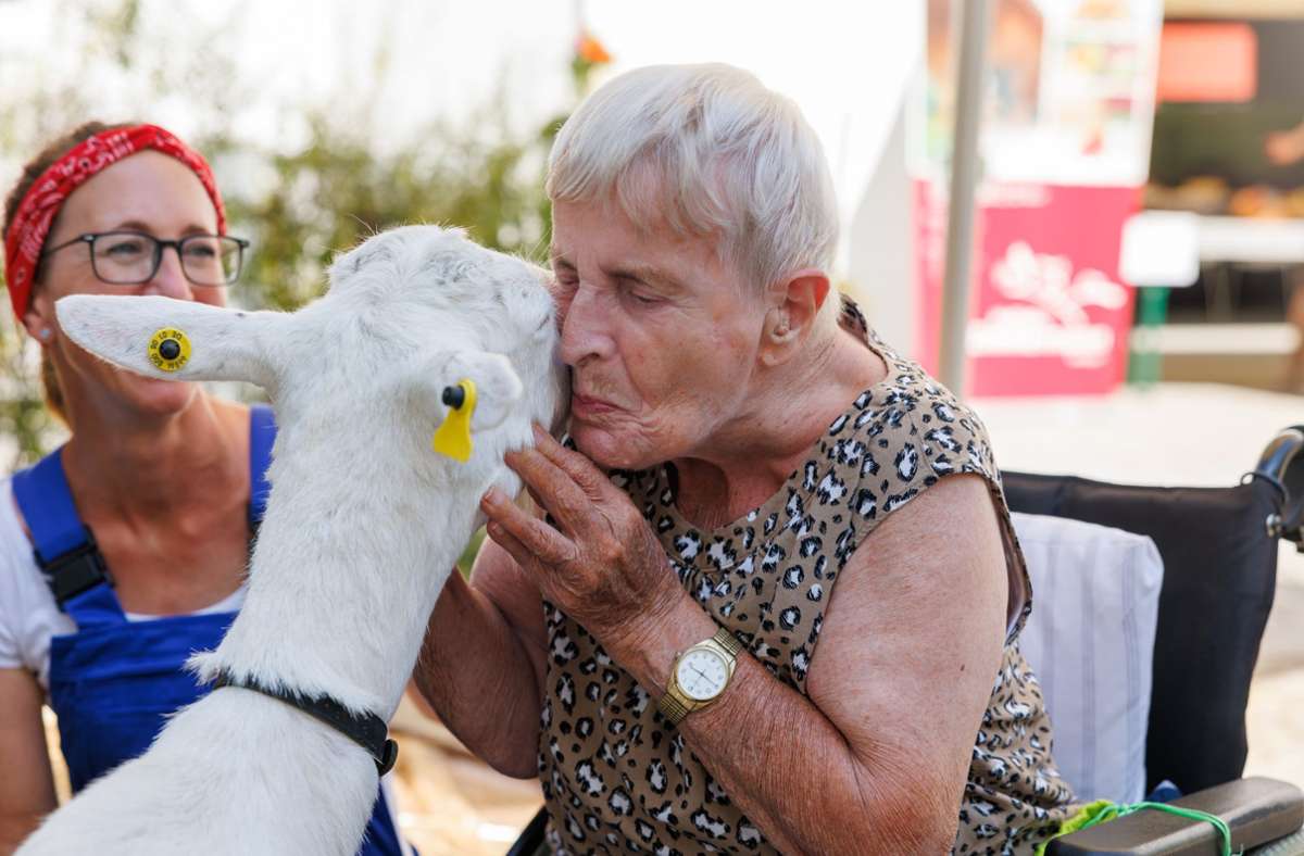 Tierische Aktion für Senioren in Böblingen: Ein Pflegeheim wird zum Bauernhof