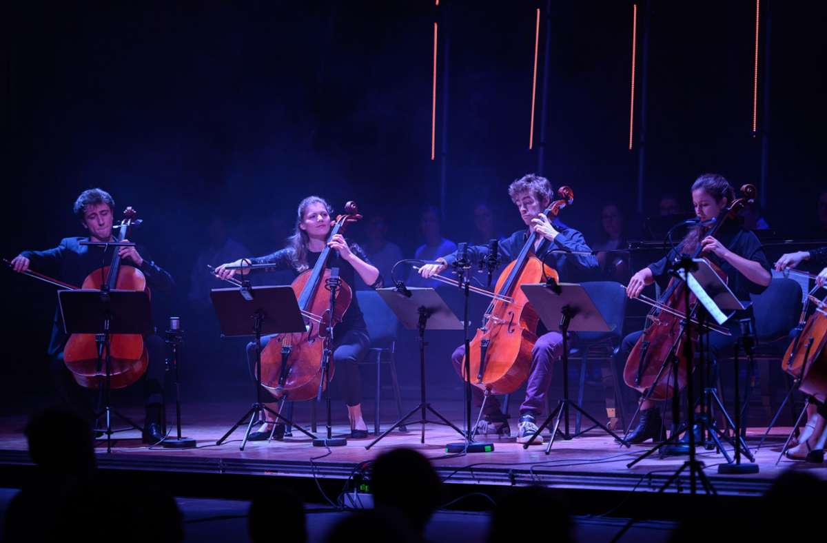 Internationales Festival in Rutesheim: Cello-Akademie verspricht Konzerte auf Top-Niveau