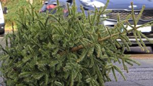 Autofahrer übersehen verloren gegangenen Weihnachtsbaum