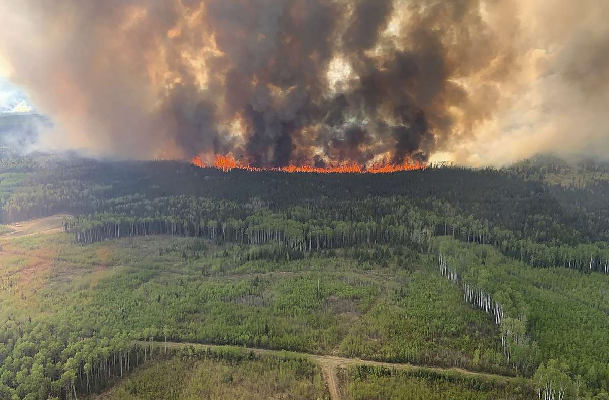 Das Bald Mountain Wildfire brennt im Waldgebiet Grande Prairie.