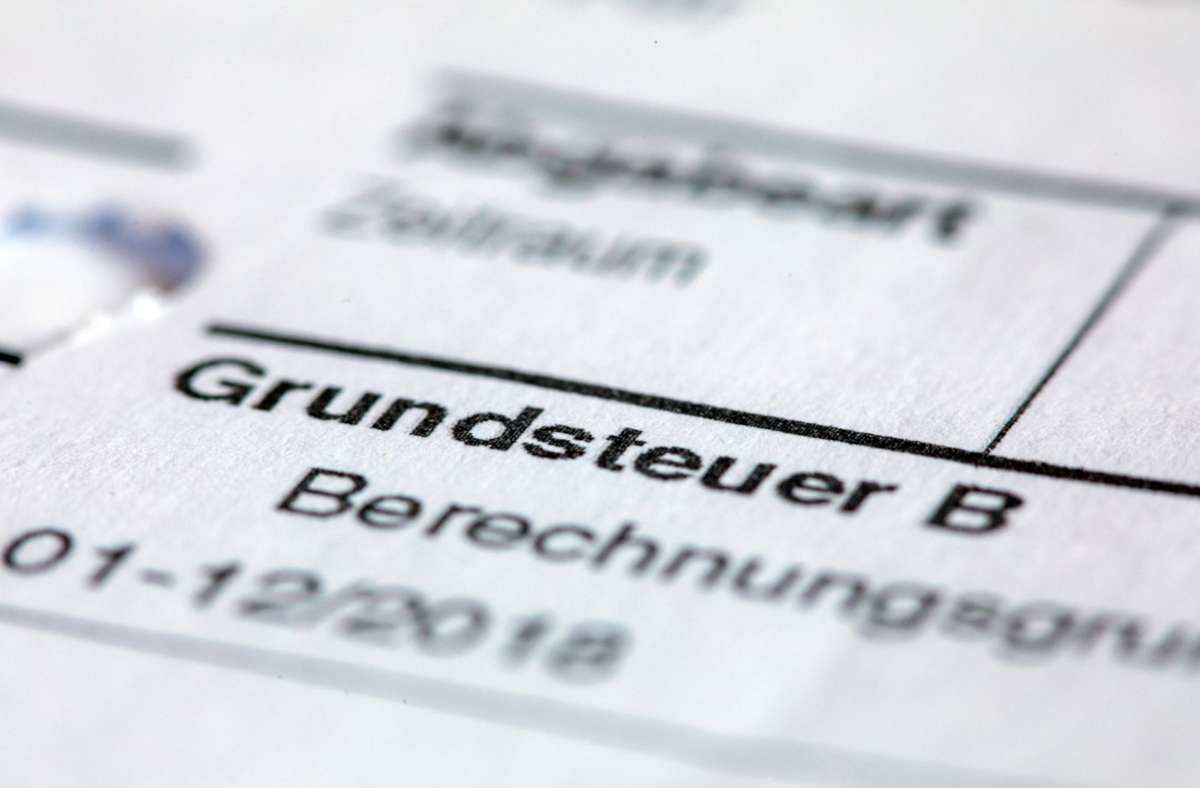 Grundsteuerreform in Baden-Württemberg: FDP vermisst Fehlerkontrolle  beim Grundsteuer-Portal