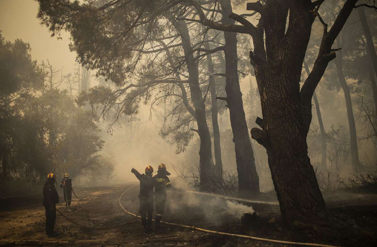 Wo brennt es in Europa?: Aktuelle Karte der Waldbrände
