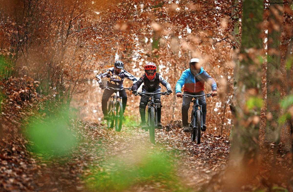 Im Rems-Murr-Kreis sind  60 Mountainbike-Strecken im Wald legalisiert. Foto: / Gottfried Stoppel
