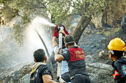 Bei Mugla an der türkischen Ägäis versuchen Feuerwehrleute  brennende Bäume zu löschen. Foto: dpa/Hakan Akgun