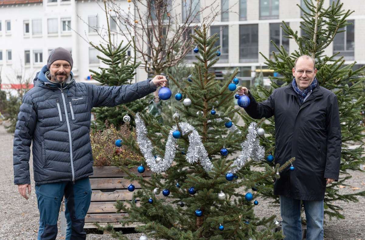 Weihnachtsbäume im Stadtgebiet: Sindelfinger dürfen Tannen schmücken