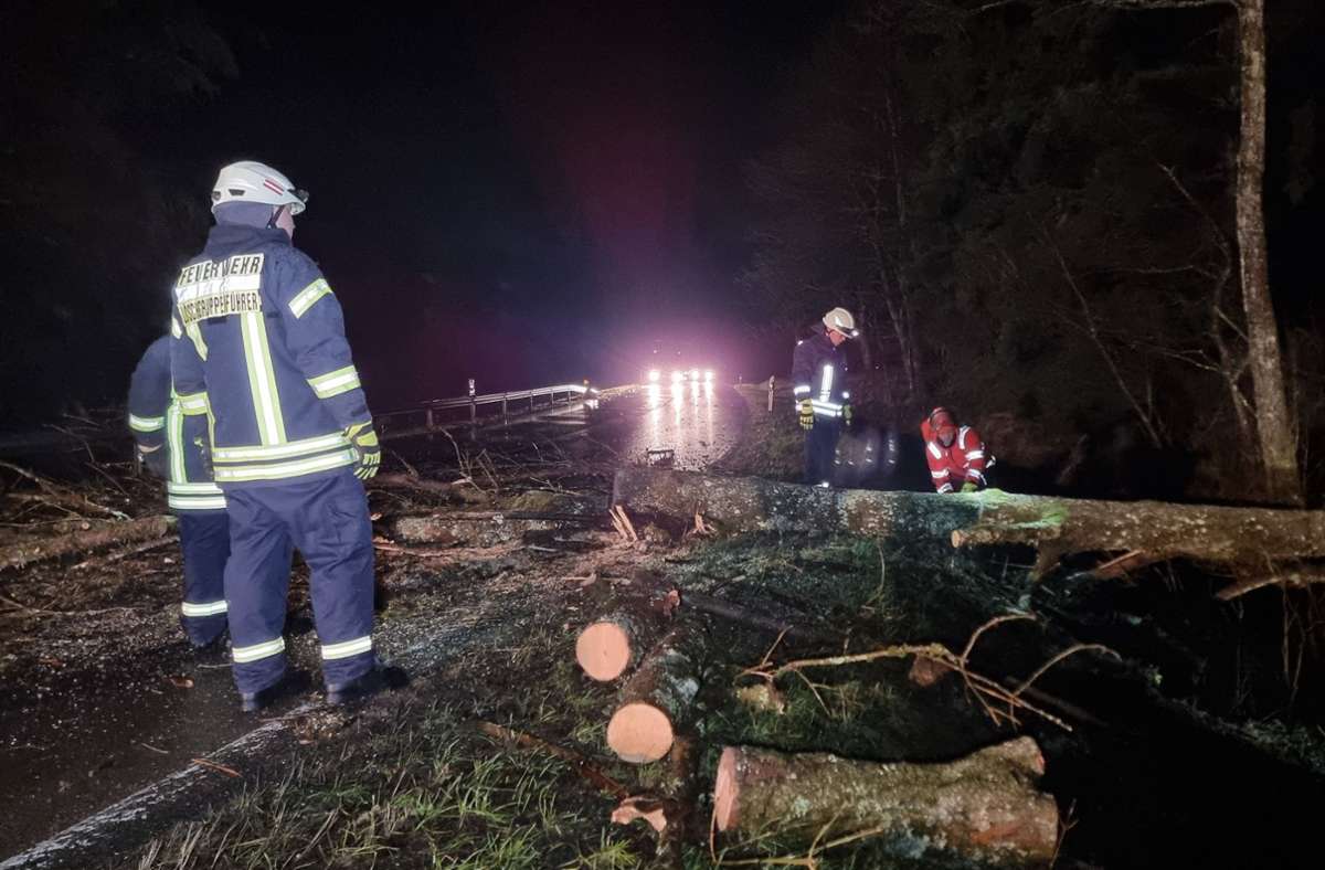 Einsatzkräfte der Feuerwehr räumen in Kirchhundem im Sauerland einen durch den Sturm umgestürzten Baum von der Straße.