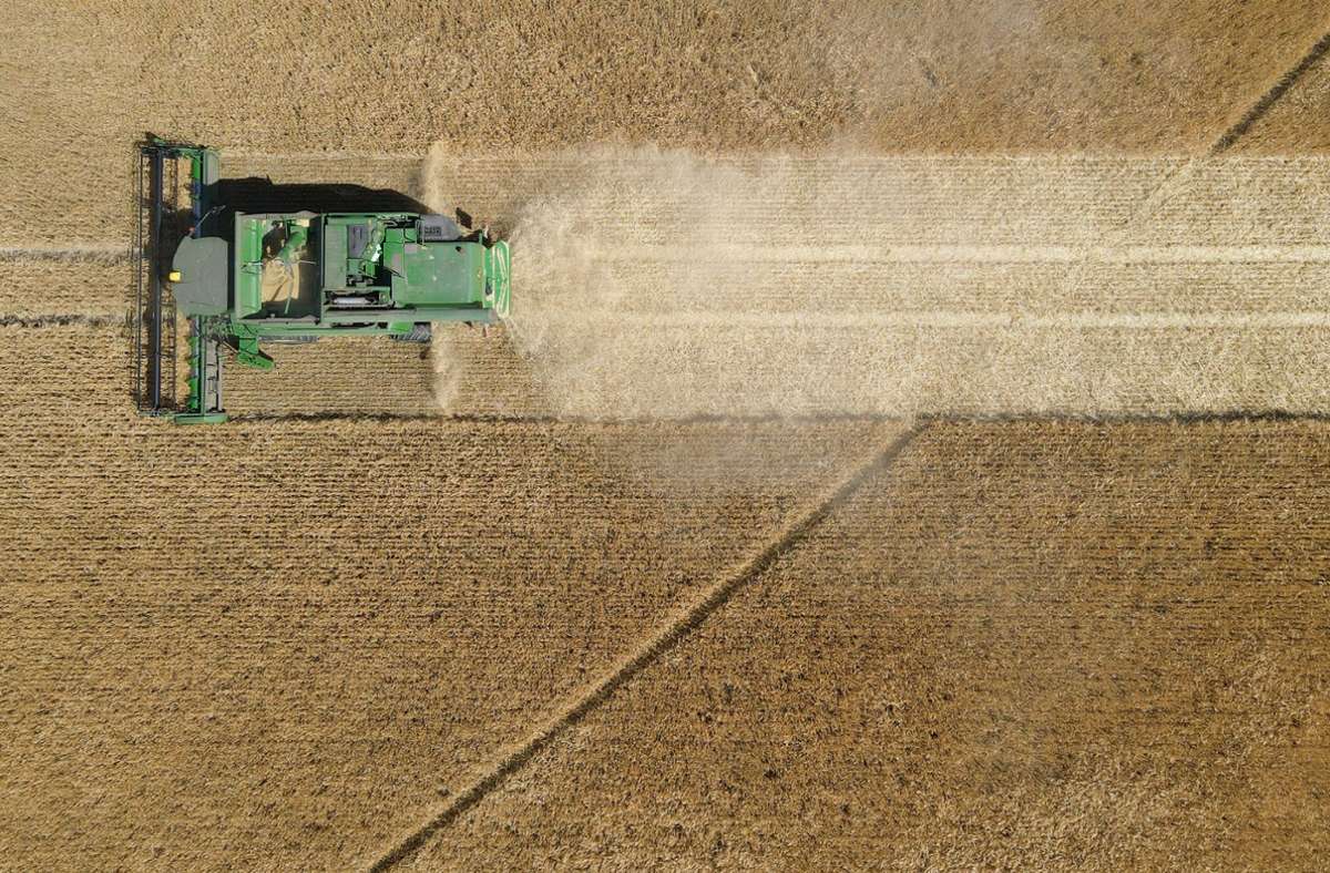 Trotz Appellen und Verhandlungen: Kreml stoppt Abkommen zum Export von ukrainischem Getreide
