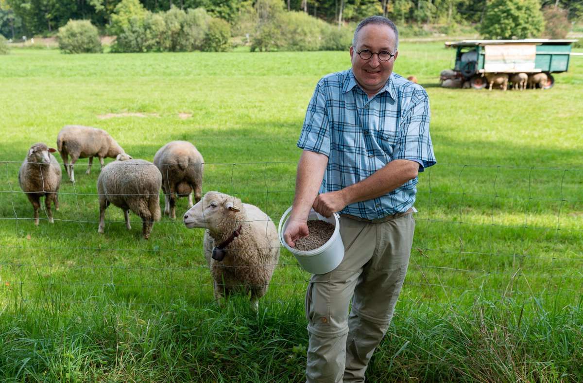 Nachhaltiges Ehningen: Wo Schafwolle zum Dünger wird